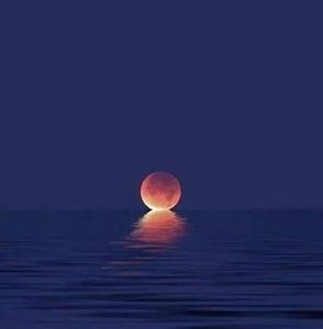 Meet your Posher, Clara